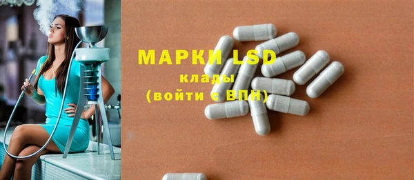 ГАЛЛЮЦИНОГЕННЫЕ ГРИБЫ Кулебаки