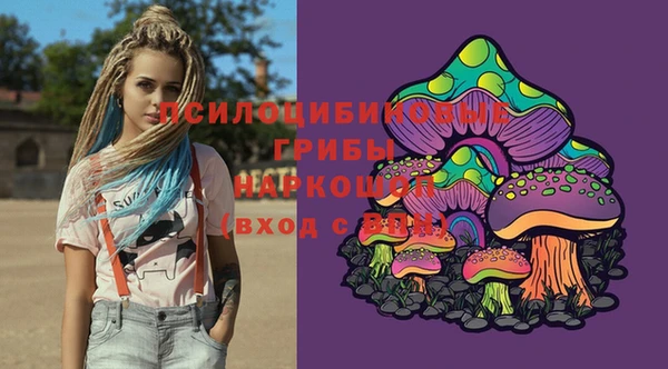 apvp Волосово