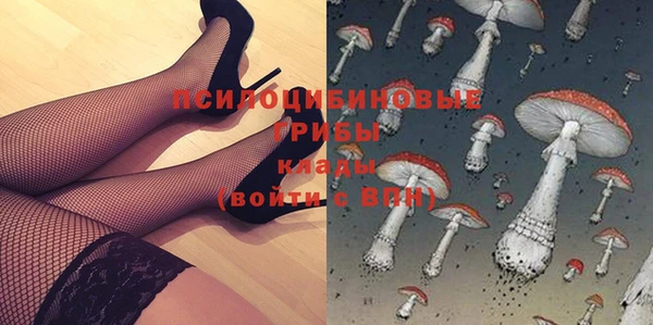 твердый Волоколамск