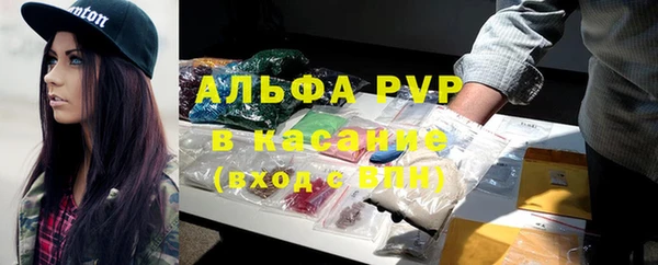 стафф Володарск