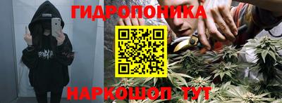 прущие грибы Заволжье