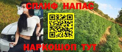 прущие грибы Заволжье