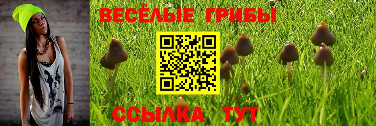 Мценск  Галлюциногенные грибы GOLDEN TEACHER  Вход с VPN 