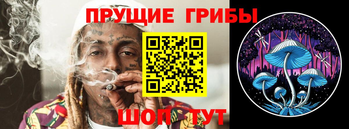 Псилоцибиновые грибы Psilocybine cubensis  Мценск 